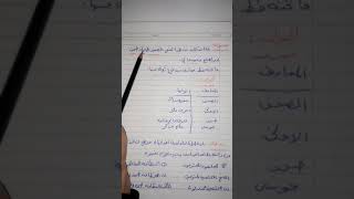 اسئلة وزاري مه الحل للغة العربية للصف السادس الابتدائي 2019 للست أميرة الجبوري