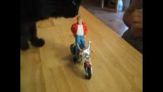 James Dean Rubber Doll by Studio Blanche - Birthday Gift To Me From My Sister!