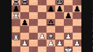 Anatoly Karpov's Top Games: Karpov vs Zoltan Ribli