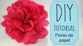 [DIY] Tutorial - Como hacer flores de papel Crepe o China || Kaele ☁