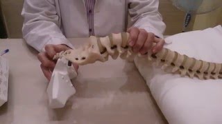 Cordus лечение защемления седалищного нерва
