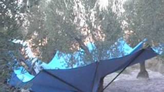 ΣΥΓΚΟΜΙΔΗ ΕΛΙΑΣ ΜΕ ΕΝΙΣΧΥΜΕΝΟ ΣΥΛΛΕΚΤΗ TOPAVI PV