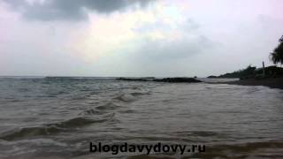 Пляж Мириса бей, Мириса(Mirissa bay, Mirissa) февраль 2015, Шри-Ланка (Sri Lanka) 2ч.