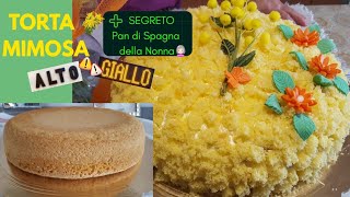 TORTA ? MIMOSA ➕ SEGRETO Pan di Spagna della Nonna ? ALTO e GIALLO❗