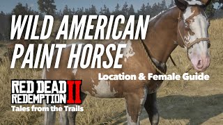 Red Dead Redemption 2: Wild American Paint Horse Location | Wolf Pack Attack!