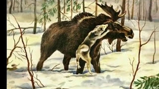 охота на лося