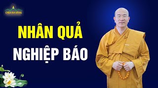 Nhân quả và nghiệp báo (Quá hay) | Thầy Thích Trúc Thái Minh