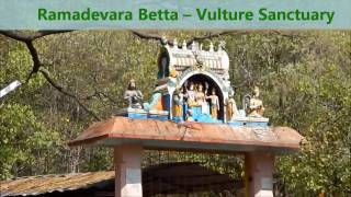 Ramadevara Betta-Vulture Sanctuary-Full Trekking Video