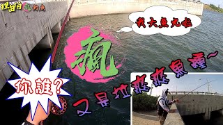 你誰~我誰~我大魚丸啦~(噓~影片內有抽獎喔)【理由伯瘋釣魚】前打篇