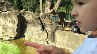 Макс в зоопарке часть 2 - Max in the zoo part 2
