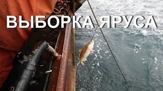 ВЫБОРКА ЯРУСА. Как выбирается ярус