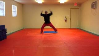 Toi-Gye Tae Kwon Do Form