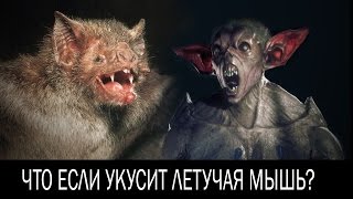 Что будет, если укусит летучая мышь