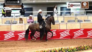 44 ExpoOriente Feria Equina Grado "A" - Dia 1 - Trote y Galope