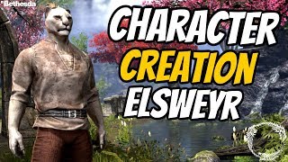 Elsweyr Character Creation | Update 22 Closed Beta PTS | The Elder Scrolls Online Elsweyr | ESO