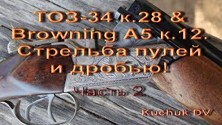 Тоз-34 к.28 & Brawning A5 к.12.  Стрельба пулей и дробью! ч. 2
