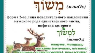 ПЕСНИ НА ИВРИТЕ  Выпуск 5 "йэдИд нЭфэш"