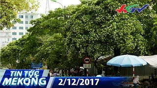 Ám ảnh… mùi hoa sữa | TIN TỨC MEKONG - 2/12/2017