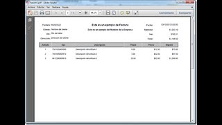 Como crear un reporte rdlc con parametros en VB.NET (Reportviewer) y MS-Access