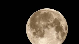 Panasonic HC-VXF1- Full Moon - 10.01.20
