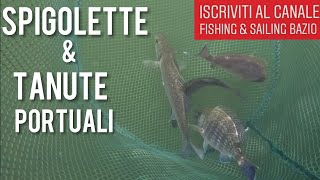SPIGOLE PORTUALI CON LA BOLOGNESE. Catch and Release.