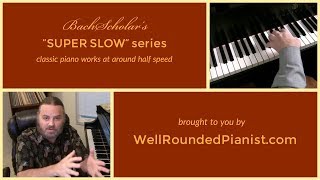 "MOONLIGHT" SONATA by Beethoven (1st movt.) | "SUPER SLOW"