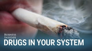 This is how long drugs actually stay in your system