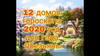 Год ОБЕЗЬЯНЫ в 2020г. 12 ДОМОВ ГОРОСКОПА таро-прогноз