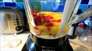 Bosch SilentMixx MMB64G3MGB 1.5 Litre Blender Review