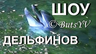 Крым. Шоу дельфинов и морских котиков. The Crimea. Show of  dolphins and fur seals