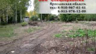 Гербицидная обработка борщевика Сосновского. Итог обработки