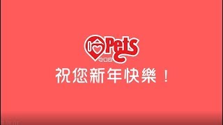 【哈寵PETube】第52集 哈寵陪你一起倒數