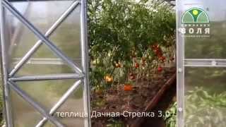 Теплица Дачная Стрелка 3 компании Воля