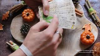 Le petit oracle et grimoire de magie