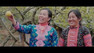 [Mv-MFan] Xuân Về Trên Rừng Núi - Hồ Quang Hiếu ( video vùng tây bắc - Sưu tầm)