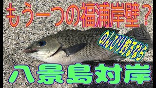 釣り動画ロマンを求めて　53釣目（八景島対岸）