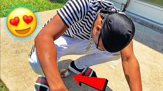 WE HAVE A NEW PET !!