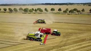 Agrarbetrieb Tegethoff Weizenernte 2017! 3x Claas Lexion, 3x Fendt Vario, 3x Krampe