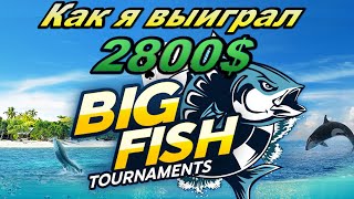 Разбор турнира BIG Fish за 16.5$, как выигрываются многостоловые турниры?