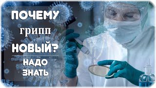 Почему вирус гриппа каждый год новый?