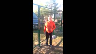 Забор из рулонной, сварной сетки