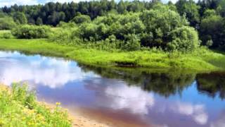 Деревня моя  Синики Архангельской области