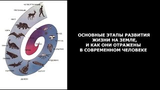 Основные этапы развития жизни на Земле