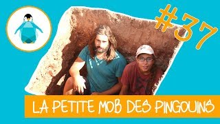 Regards d'arrivée des réseaux et eaux usées - LPMDP #37
