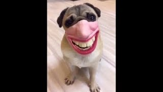 СПОРИМ ЗАСМЕЕШЬСЯ? А Я ЗНАЮ,ТЫ ЗАСМЕЕШЬСЯ! ТЕСТ НА ПСИХИКУ!
