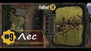 Fallout 76 ⛳️ Карта лесных сокровищ #9 ✔️