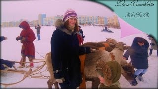 Север .Люди, климат и работа на севере.