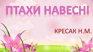 ПТАХИ НАВЕСНІ