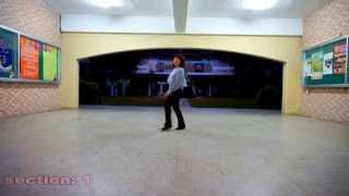 Butterfly Fly Away( 蝴蝶) lin dance by Irene Deng