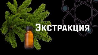 Экстракция. Эксперимент с хвоей. [ChemistryToday]